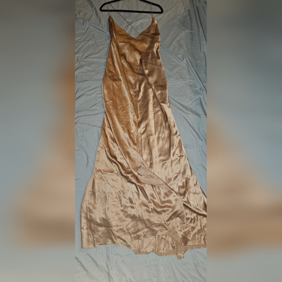 Michelle Mason 100% Silk Gown - Nude - Picture 5 of 5